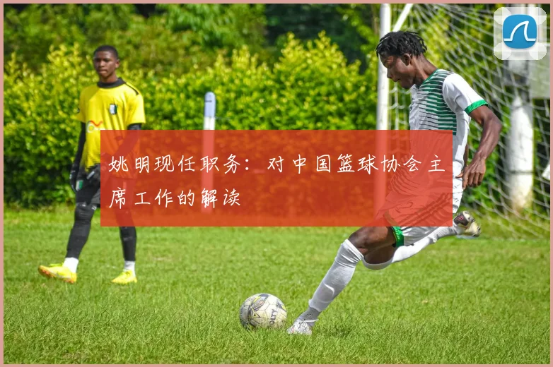姚明现任职务:对中国篮球协会主席工作的解读